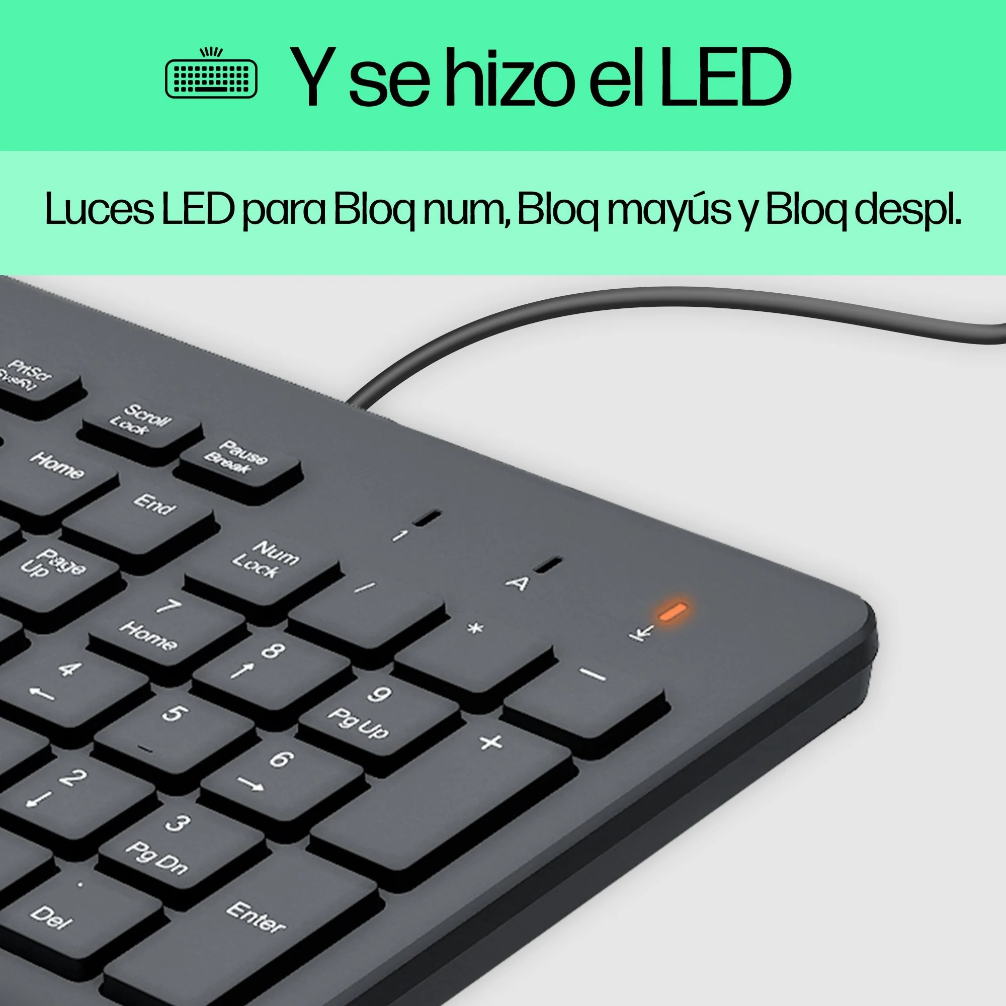 Imagen del producto 11